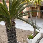 Adome Primavera * Santa Pola